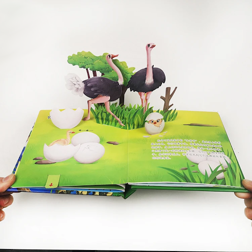 Kartonowa książka 3D Pop up